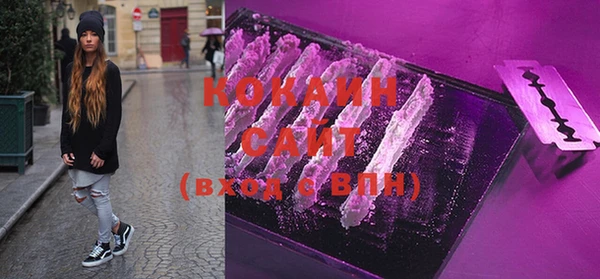 крисы Михайловск