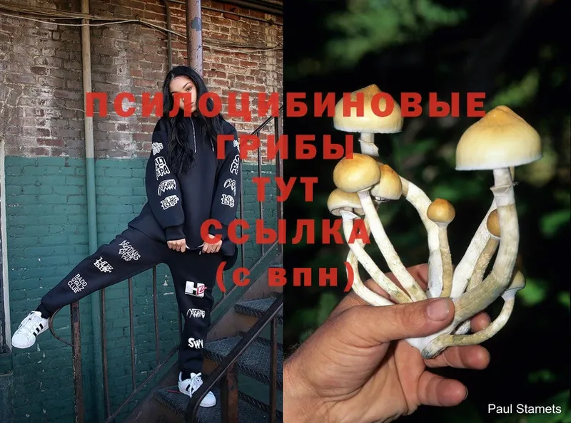 Псилоцибиновые грибы MAGIC MUSHROOMS  Каргополь 